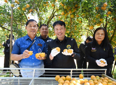 คณะผู้บริหารกรมส่งเสริมสหกรณ์ ลงพื้นที่ ... พารามิเตอร์รูปภาพ 4