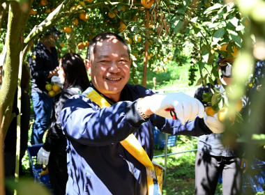 คณะผู้บริหารกรมส่งเสริมสหกรณ์ ลงพื้นที่ ... พารามิเตอร์รูปภาพ 11