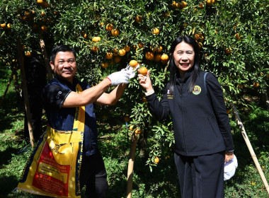 คณะผู้บริหารกรมส่งเสริมสหกรณ์ ลงพื้นที่ ... พารามิเตอร์รูปภาพ 12