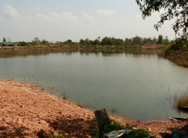 รัฐมนตรีช่วยว่าการกระทรวงเกษตรและสหกรณ์ ... พารามิเตอร์รูปภาพ 8